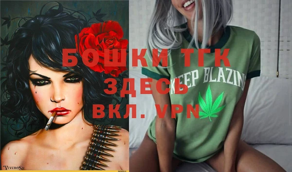 сатива Алзамай